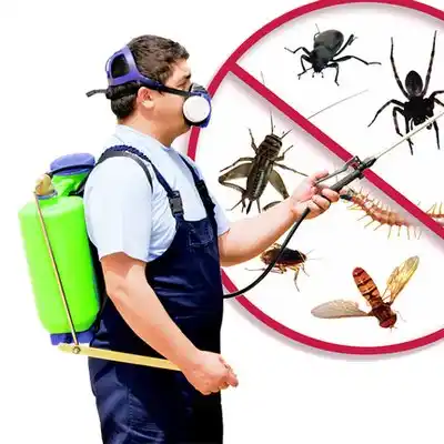 pest control Cedar Point